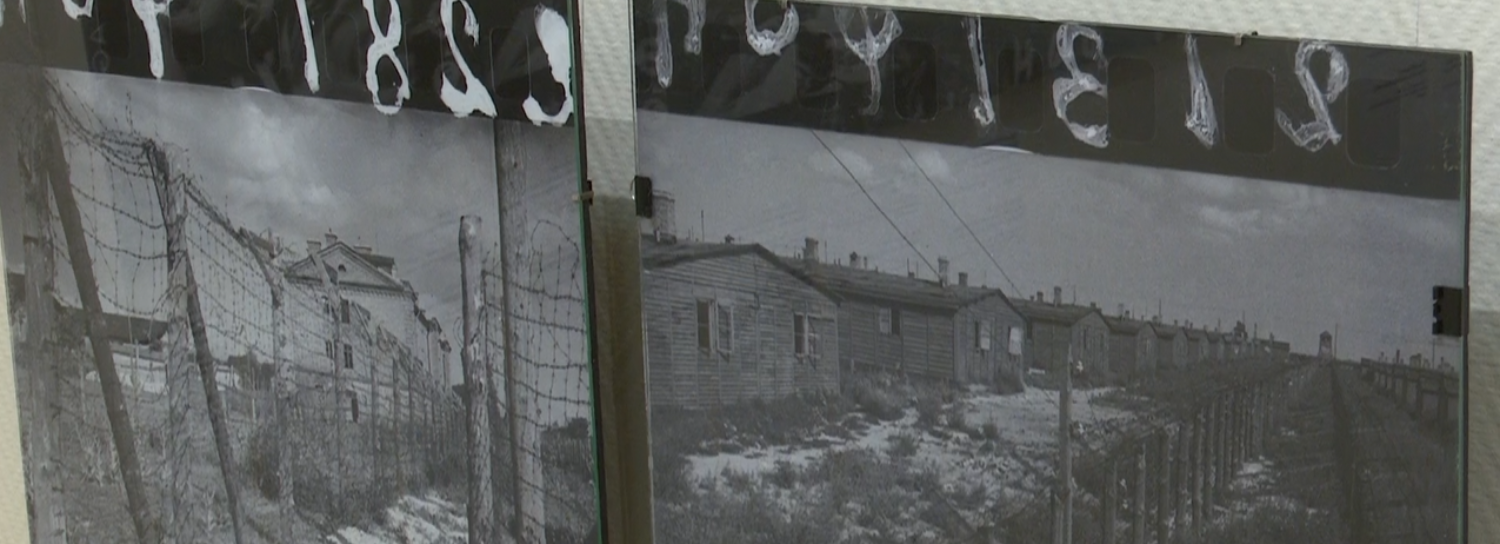 Правдивые снимки Великой Отечественной представили новосибирцам