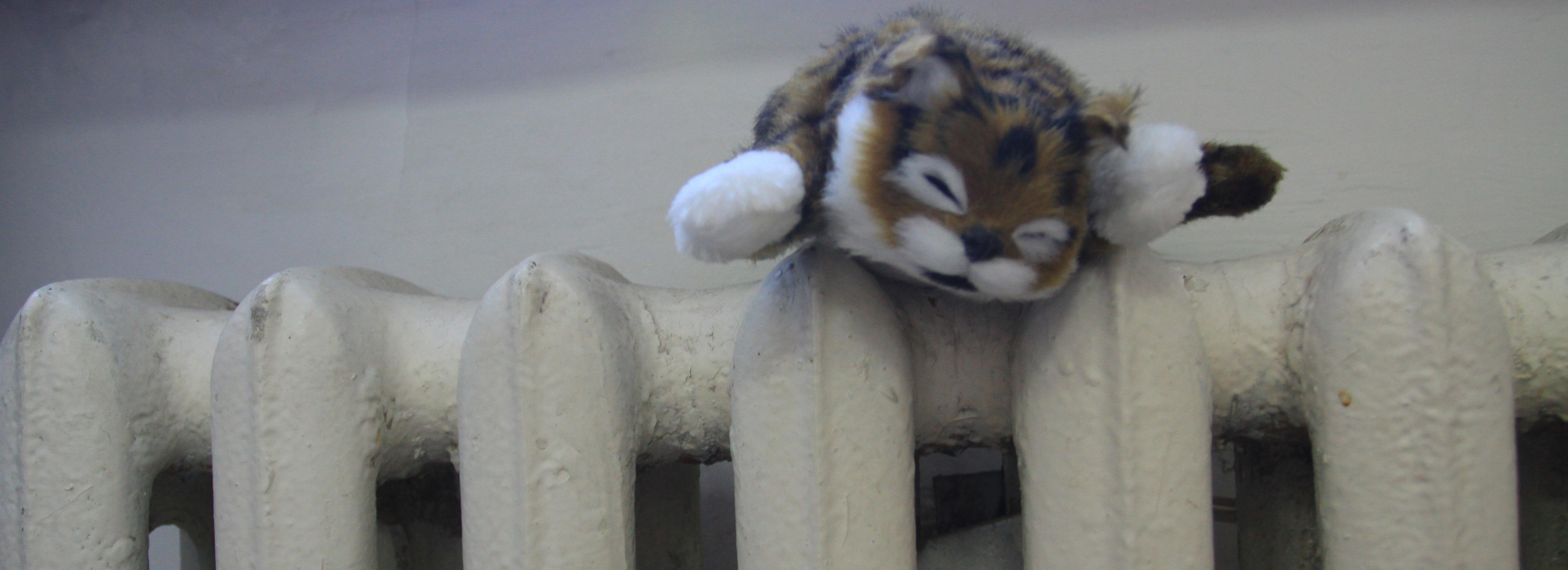 Директора сельской школы оштрафовали за холодные классы