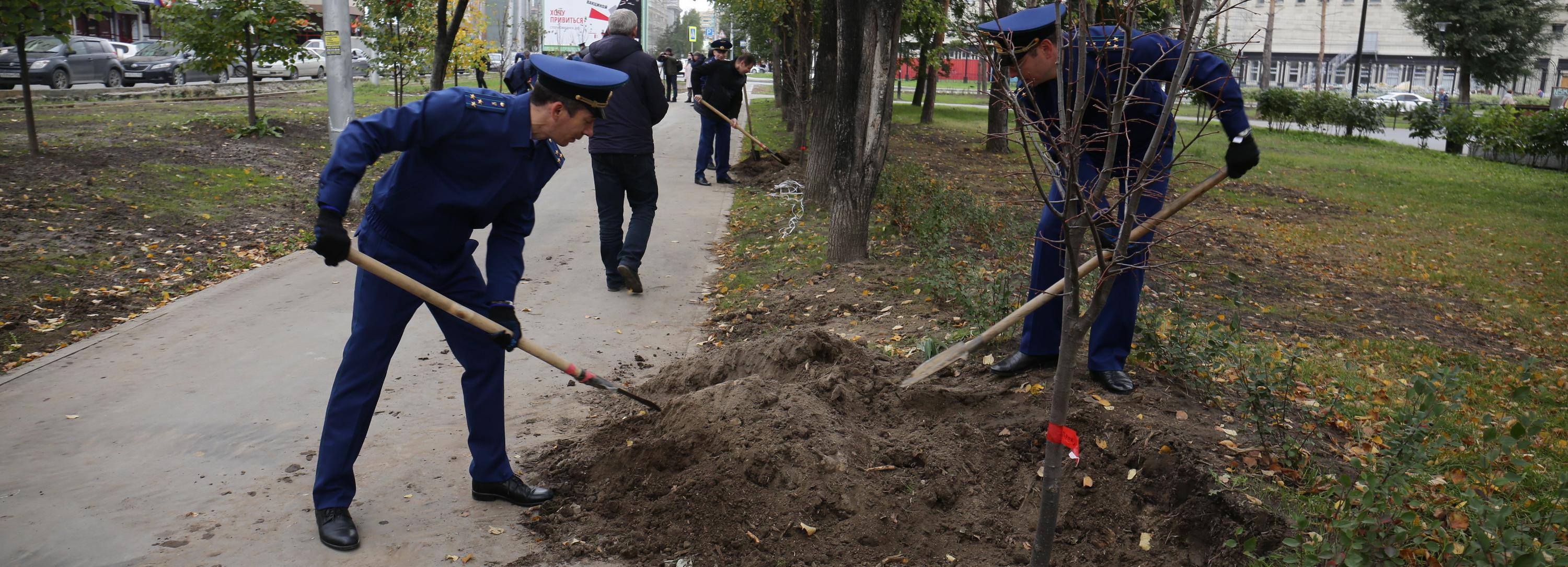 Работники прокуратуры посадили липовую аллею в сквере за оперным