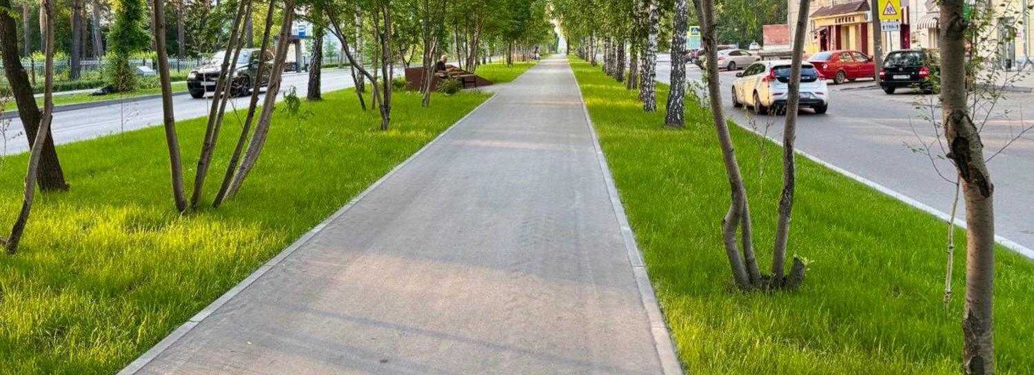 Мэр Кудрявцев показал в соцсетях идеальные газоны на улице Эйхе