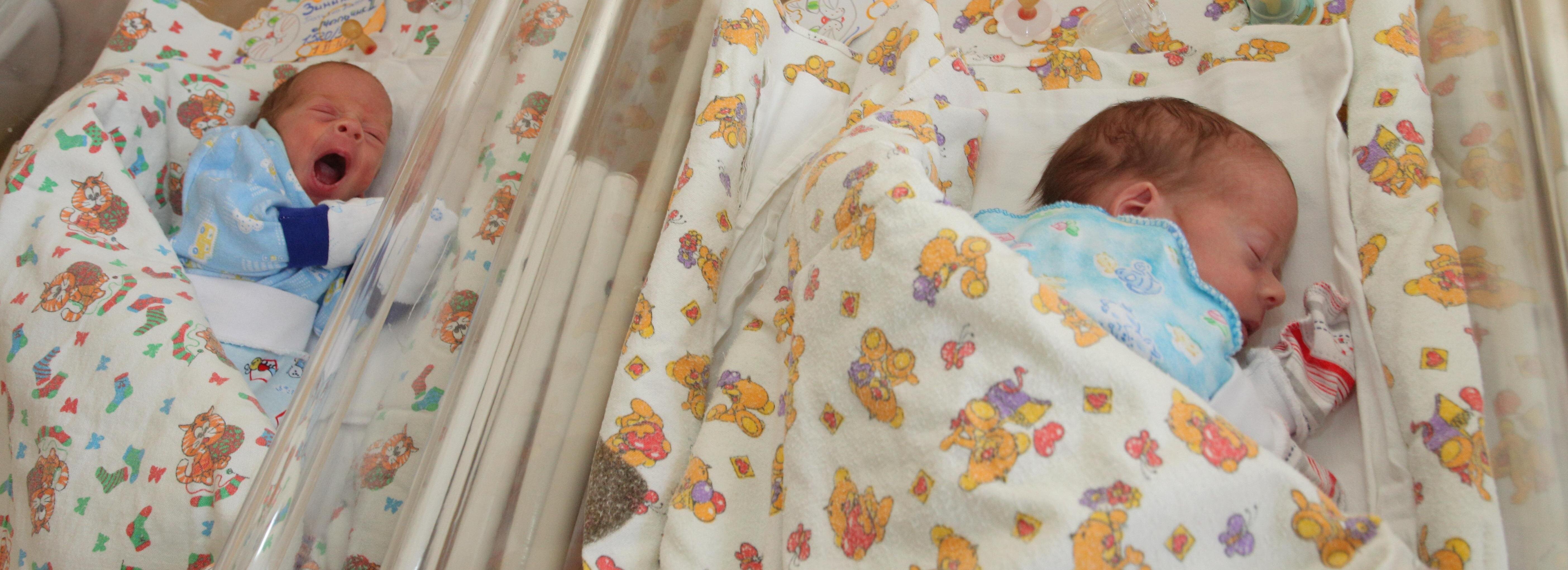 Марибель, Святозар, Дастин и Люция родились в Новосибирске в августе