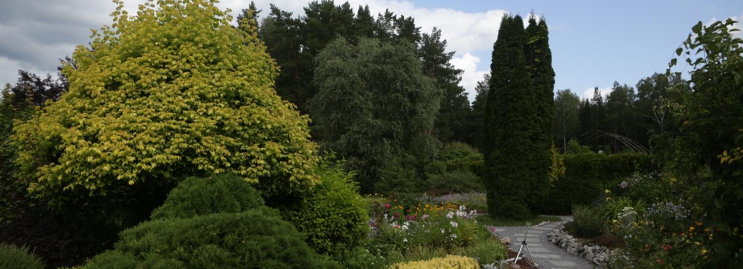 В Ботаническом саду СО РАН ввели плату за вход