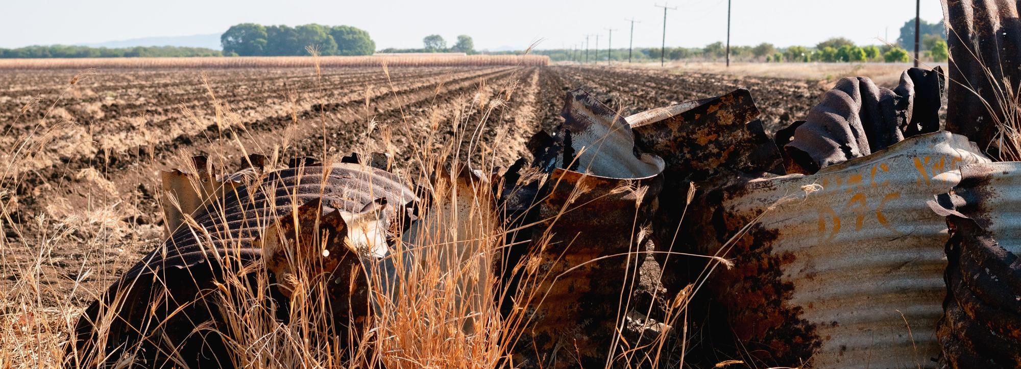 Режим ЧС из-за засухи ввели в шести районах Новосибирской области