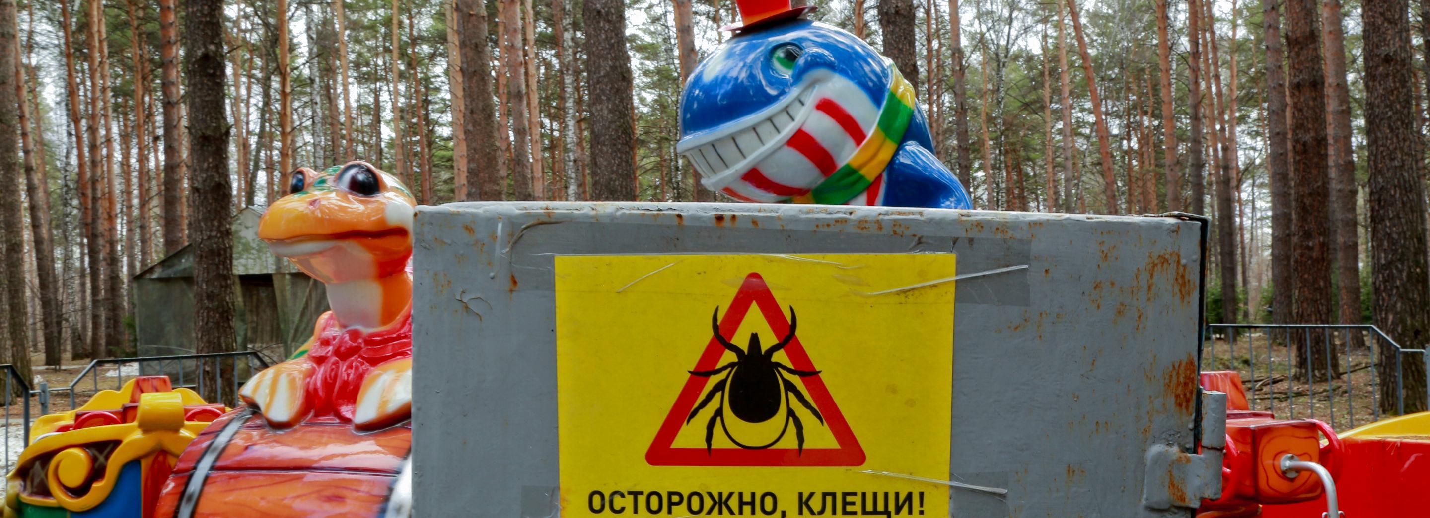 Новосибирцы переживают за «избыточное» благоустройство Соснового бора