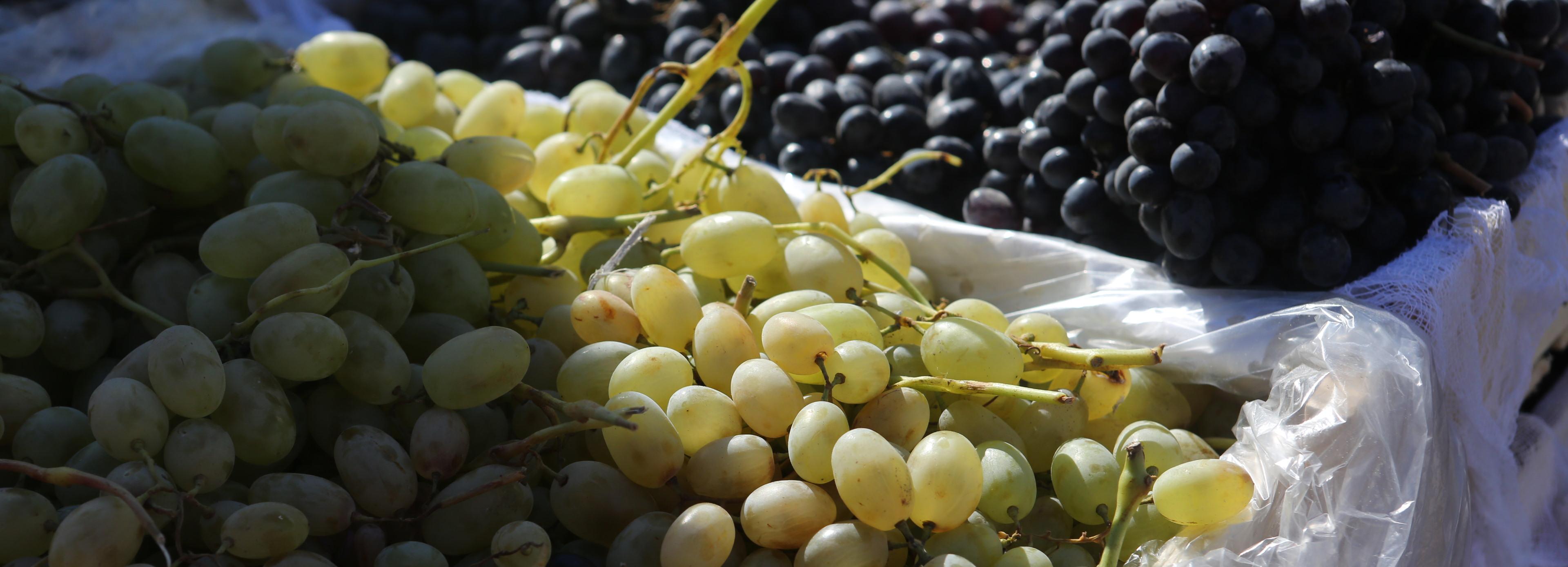 19 тонн опасного узбекского винограда уничтожили в Новосибирске