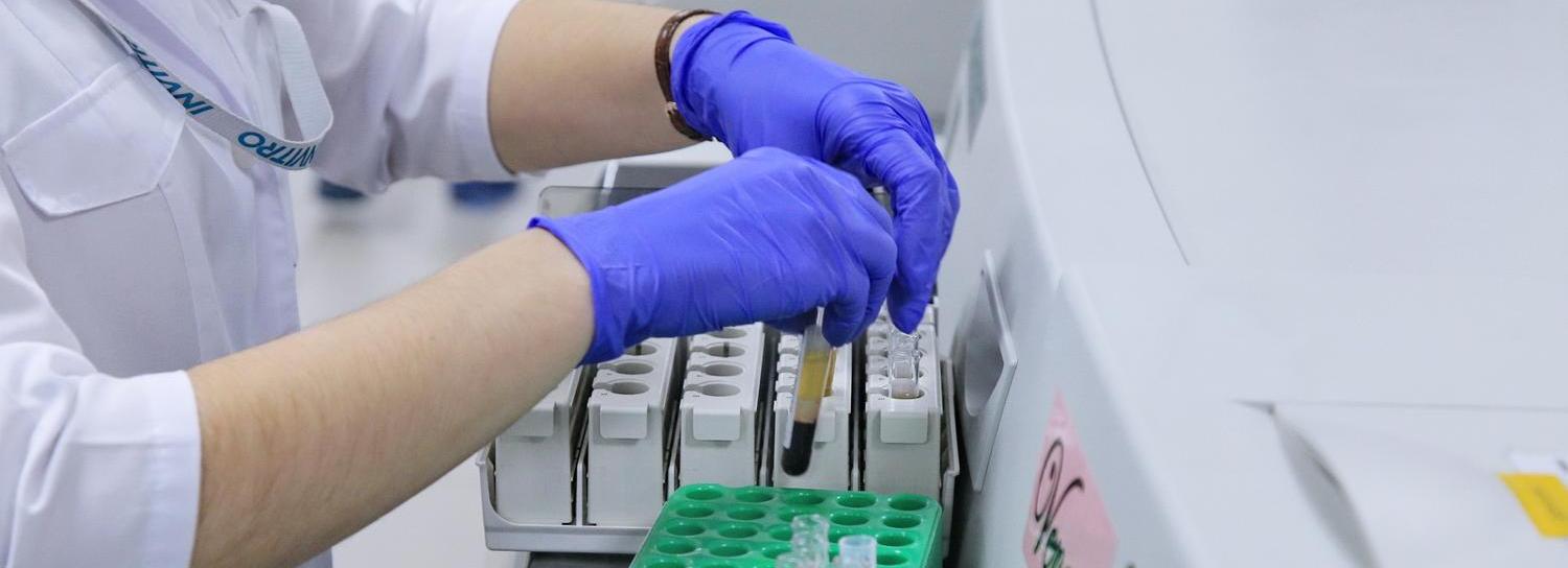 Туристы завезли в Новосибирск с Мальдив лихорадку денге