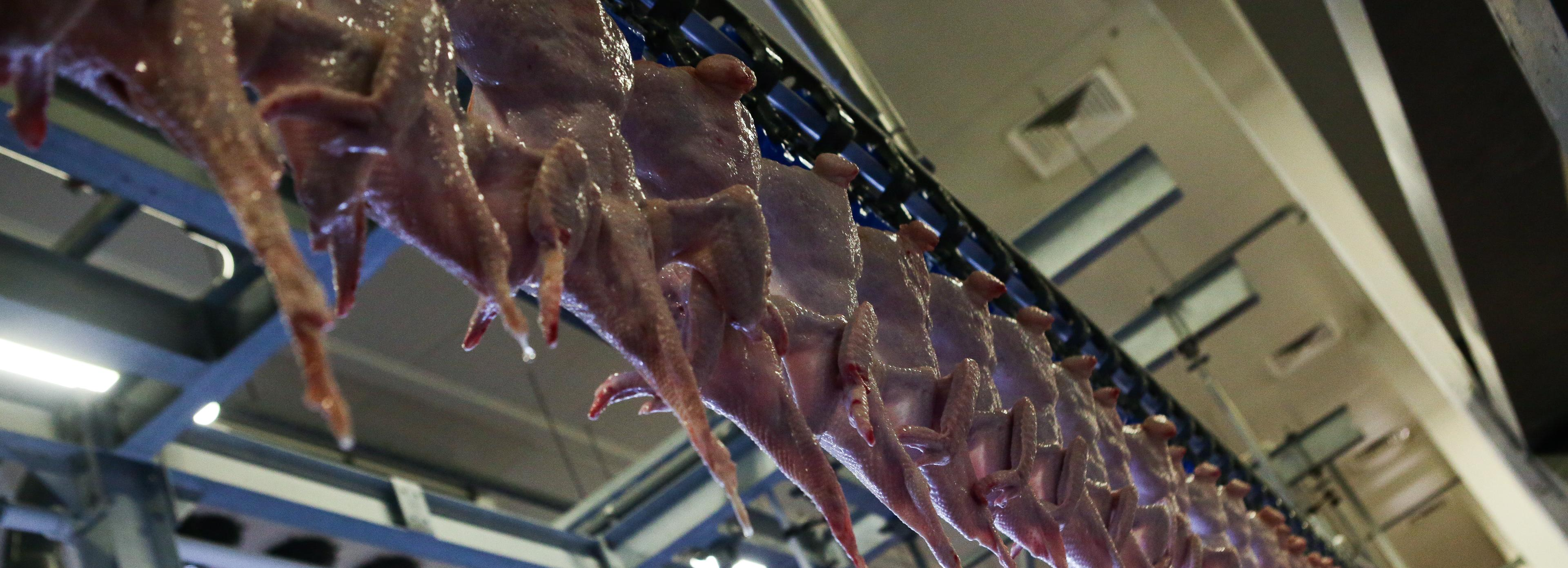 Дефицит курятины в Новосибирске прокомментировал минпромторг региона