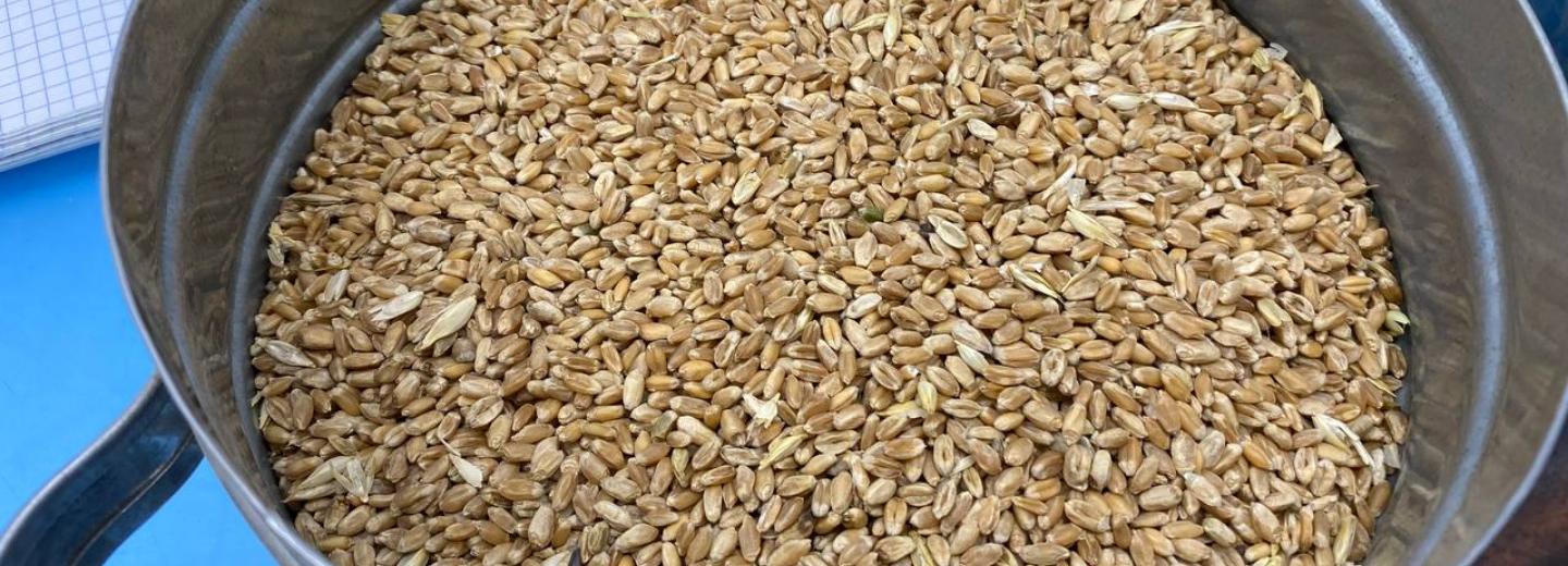 Экскурсия на мелькомбинат: эту муку пытаются подделать в Китае