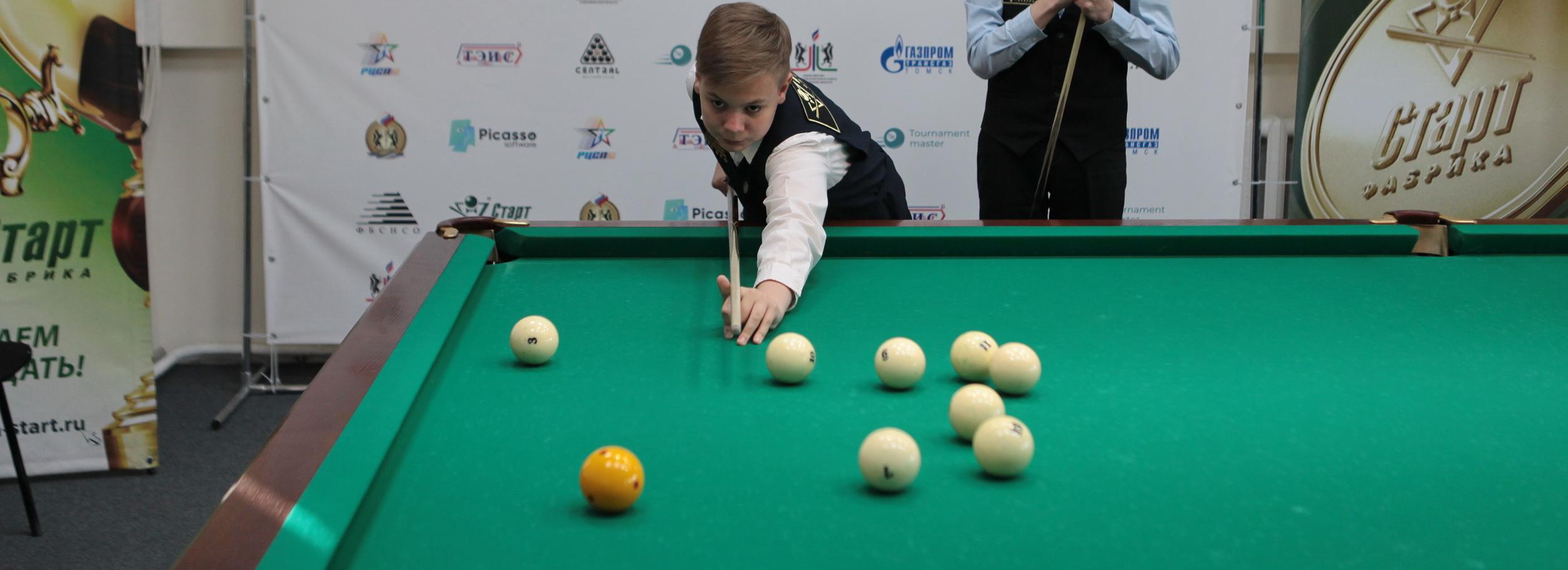 Талисман для чемпионата мира по бильярду попросили придумать новосибирцев