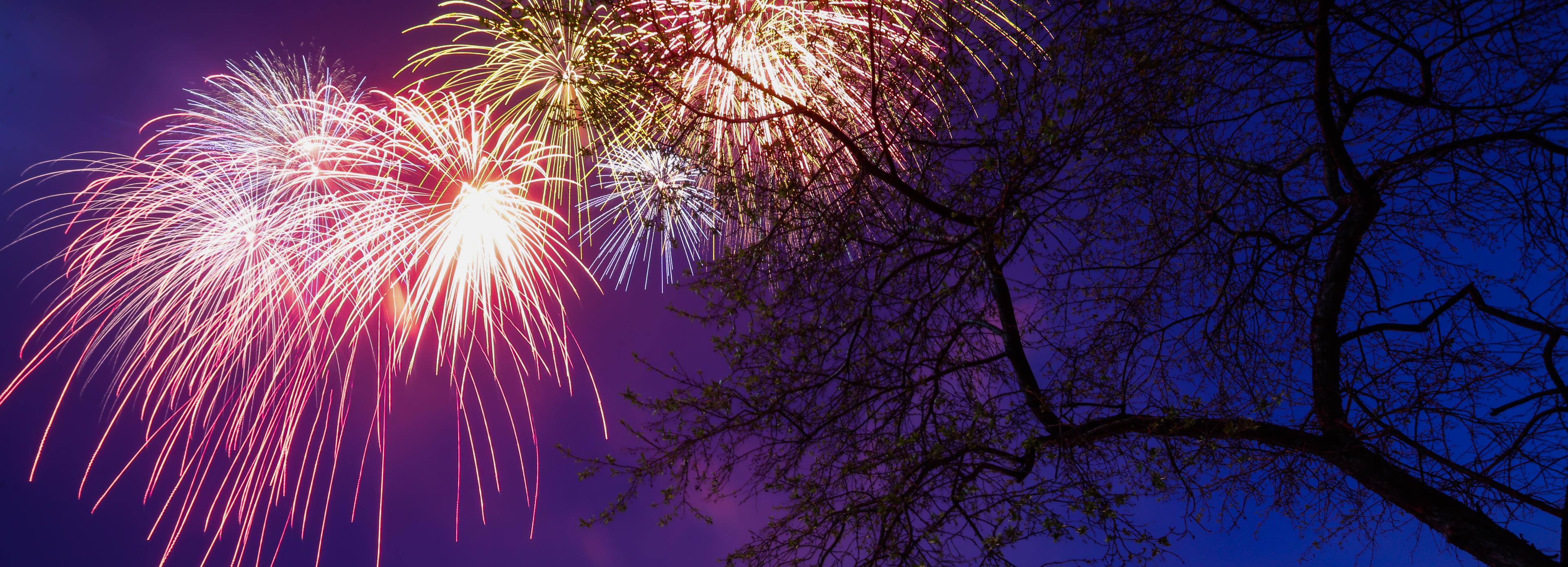 Артиллерийский салют прогремит 9 мая над Михайловской набережной