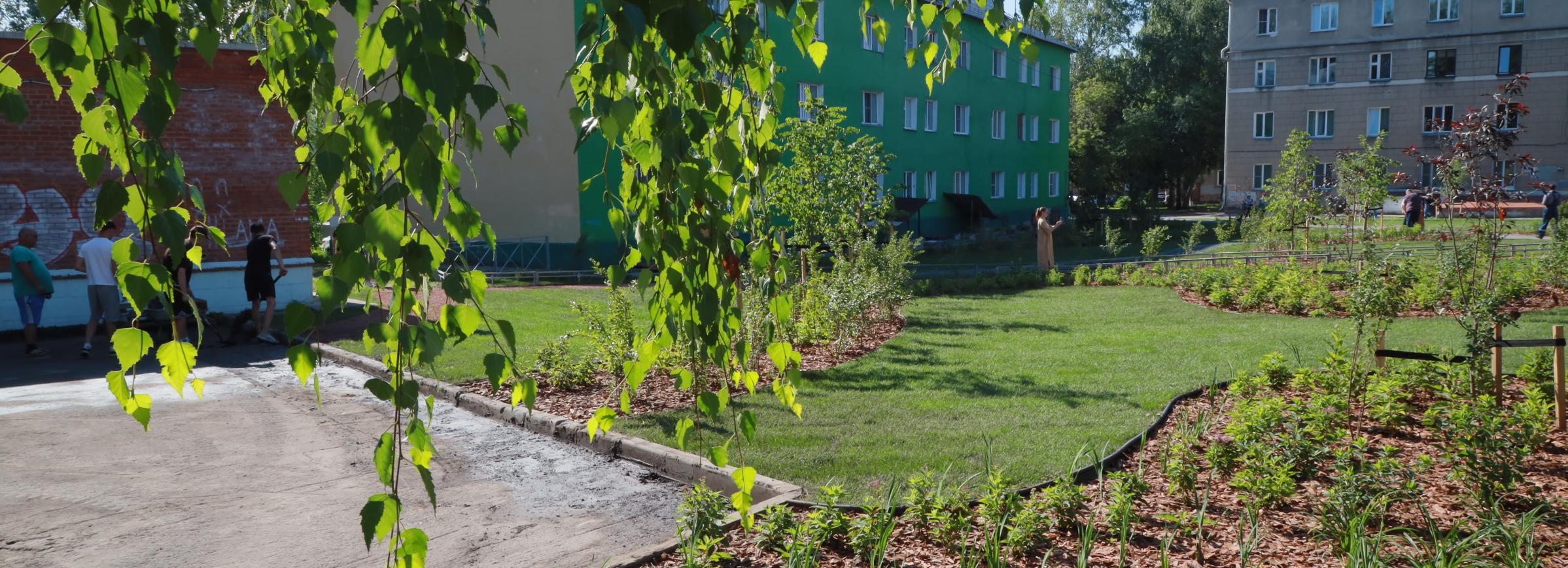 Переживший зиму в Новопичугово газон уложили в новом сквере на Эйхе