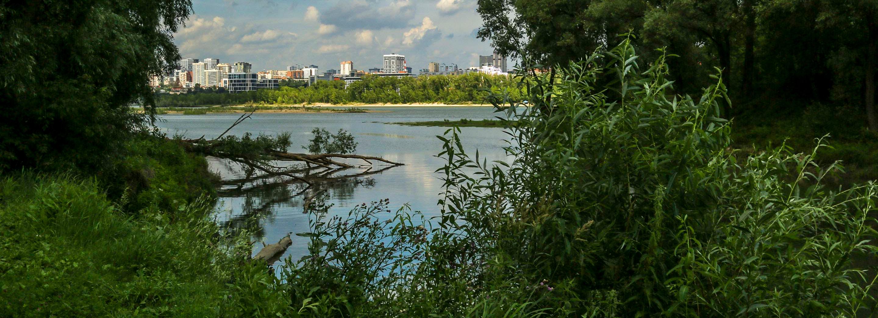 Клещи укусили 25 новосибирцев за неделю