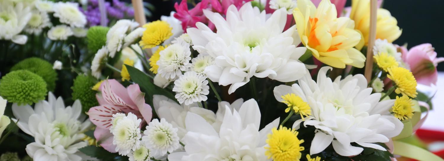 Тысячу жён и матерей бойцов СВО поздравят с 8 Марта депутаты