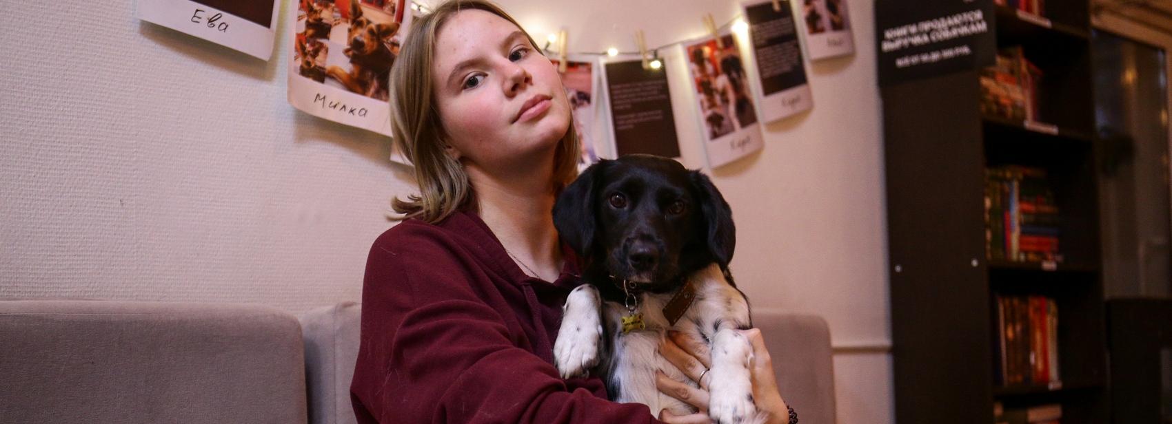 Новосибирское пёсокафе Dog House собирает деньги на ремонт