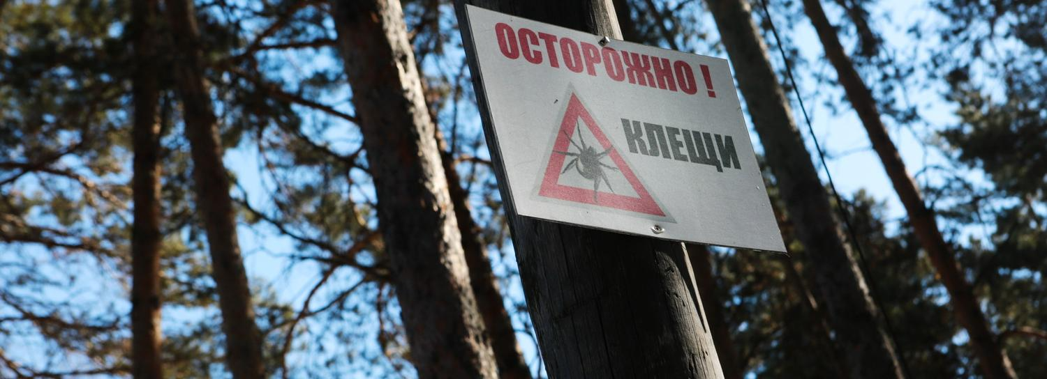 Парки Новосибирска начнут обрабатывать от клещей с 15 апреля
