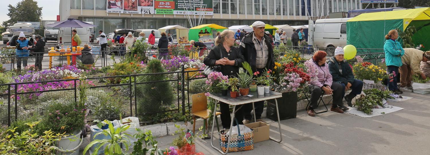 Новосибирцы обогнали других россиян по любви к дыням