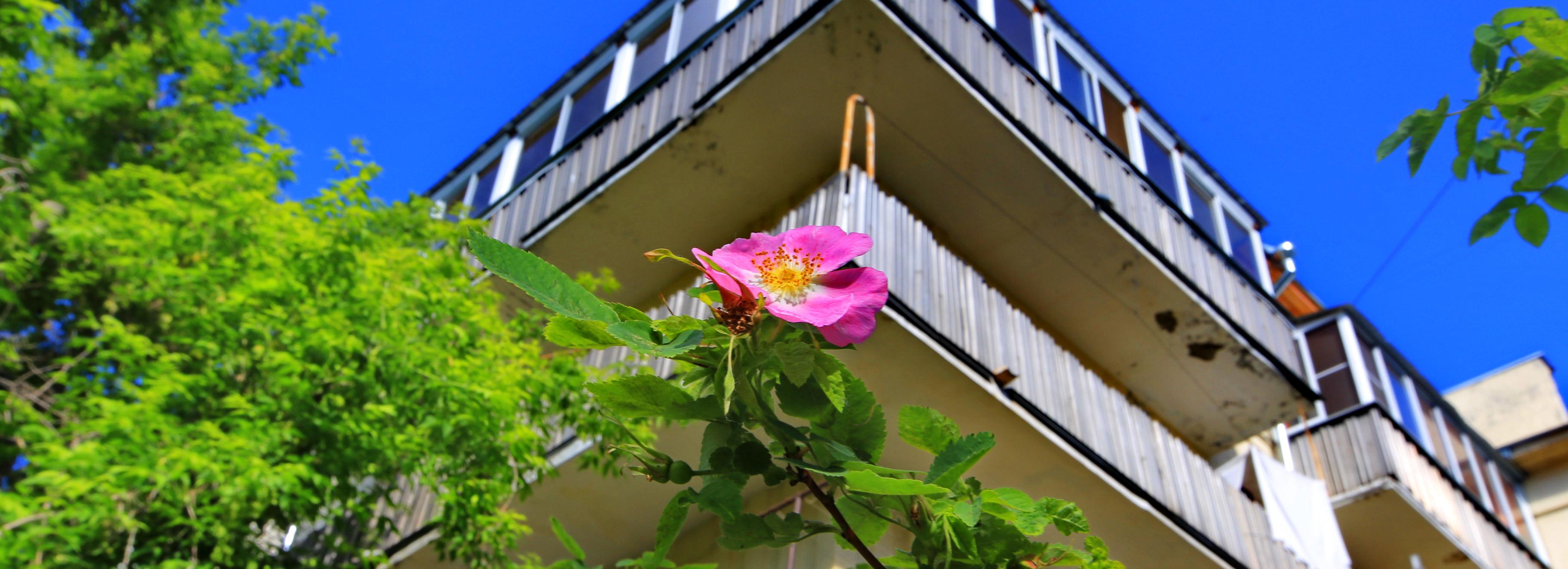 Как управлять многоквартирным домом — горячий телефон в Новосибирске