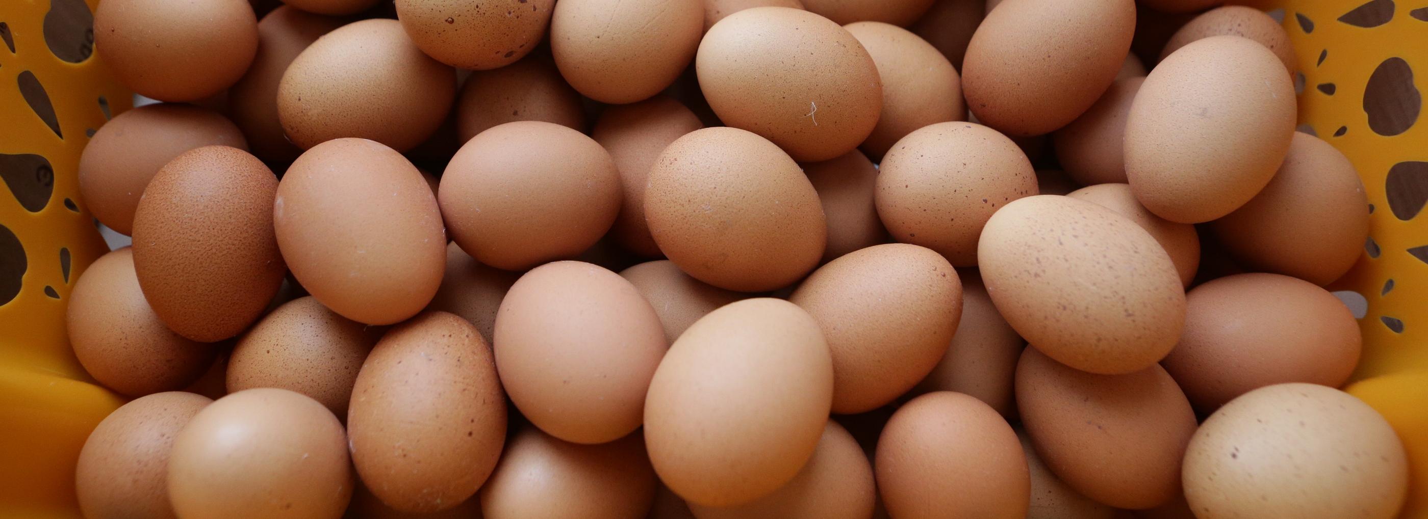 Скоро Пасха: сколько стоит покрасить яйца луковой шелухой