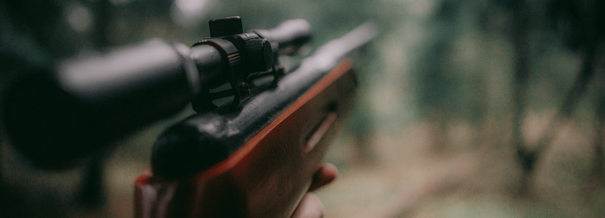 Больше 400 животных отстрелят из-за трихинеллёза в Новосибирской области