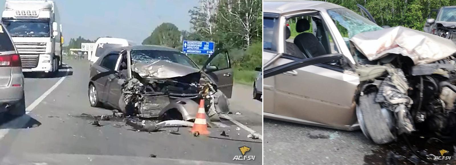 Выбежавший на дорогу лось устроил ДТП в Новосибирской области