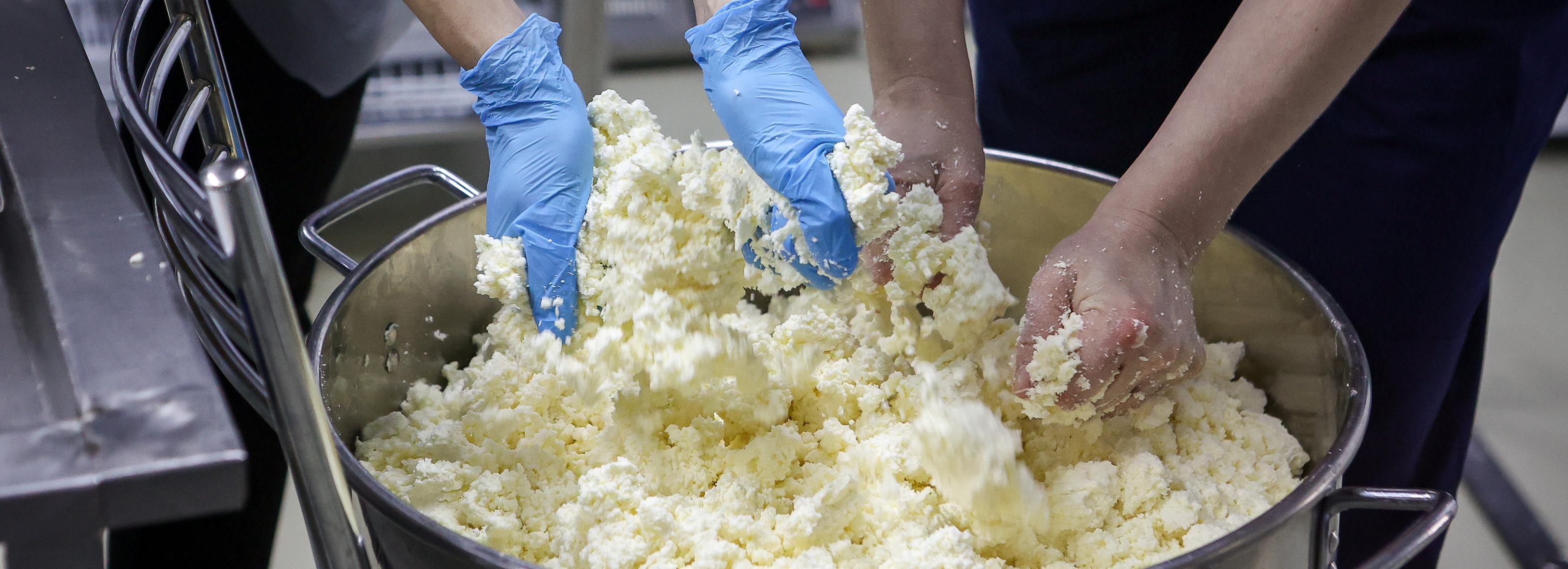 Производство фермента для сыроварения в биореакторе освоили в НГУ