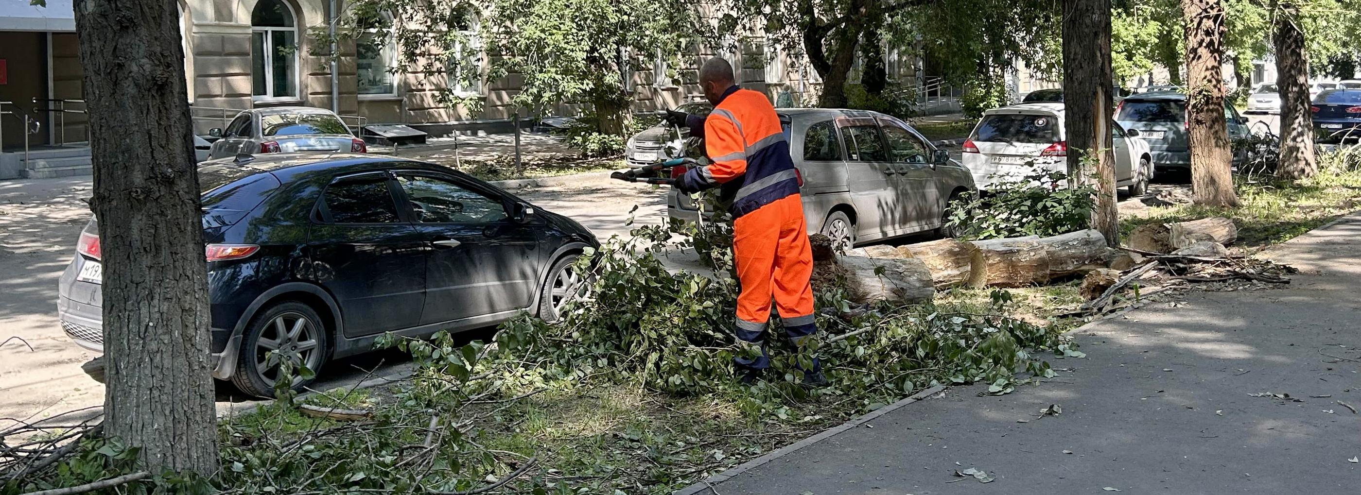 Поваленные деревья убирают в Новосибирске после урагана