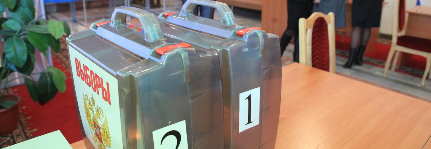 Треть новосибирцев проголосовали по поправкам в Конституцию РФ