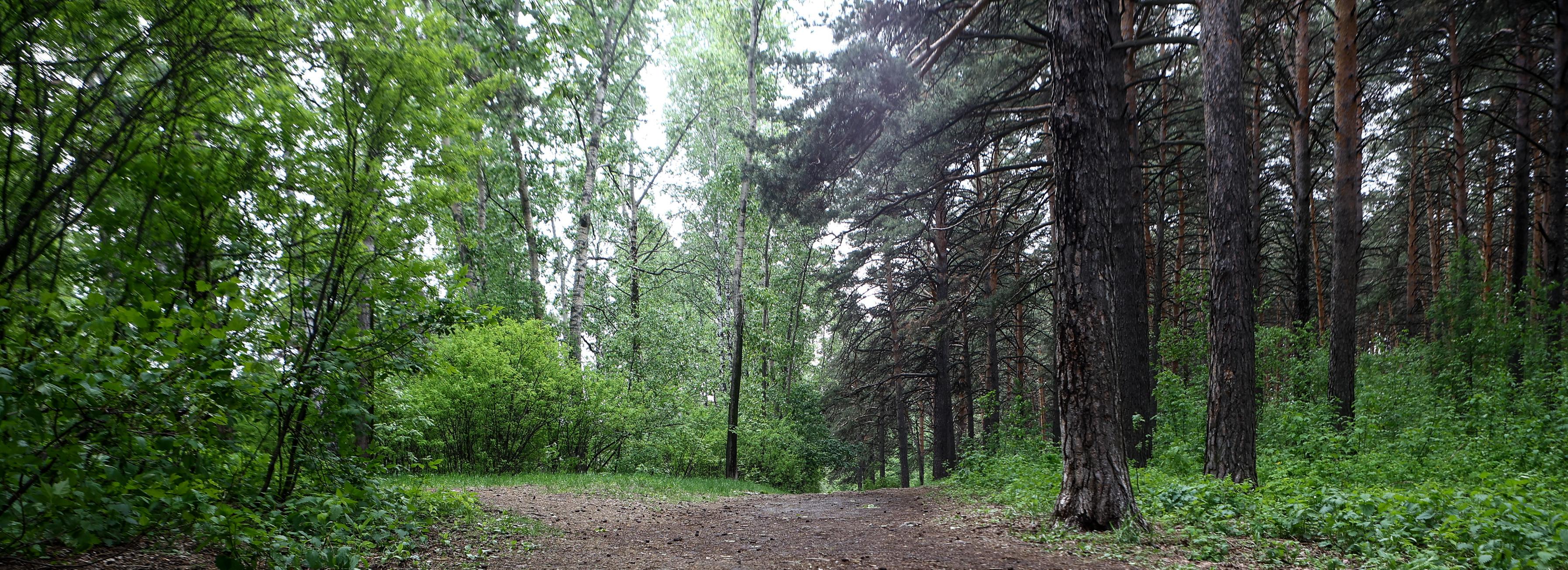 Клещи за неделю укусили 165 жителей Новосибирской области