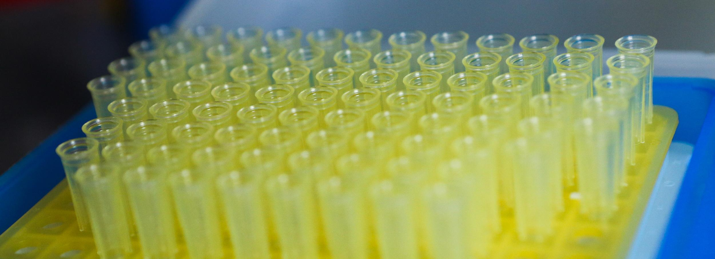 Выпускающий взрывчатку новосибирский завод войдёт в корпорацию «Ростех»