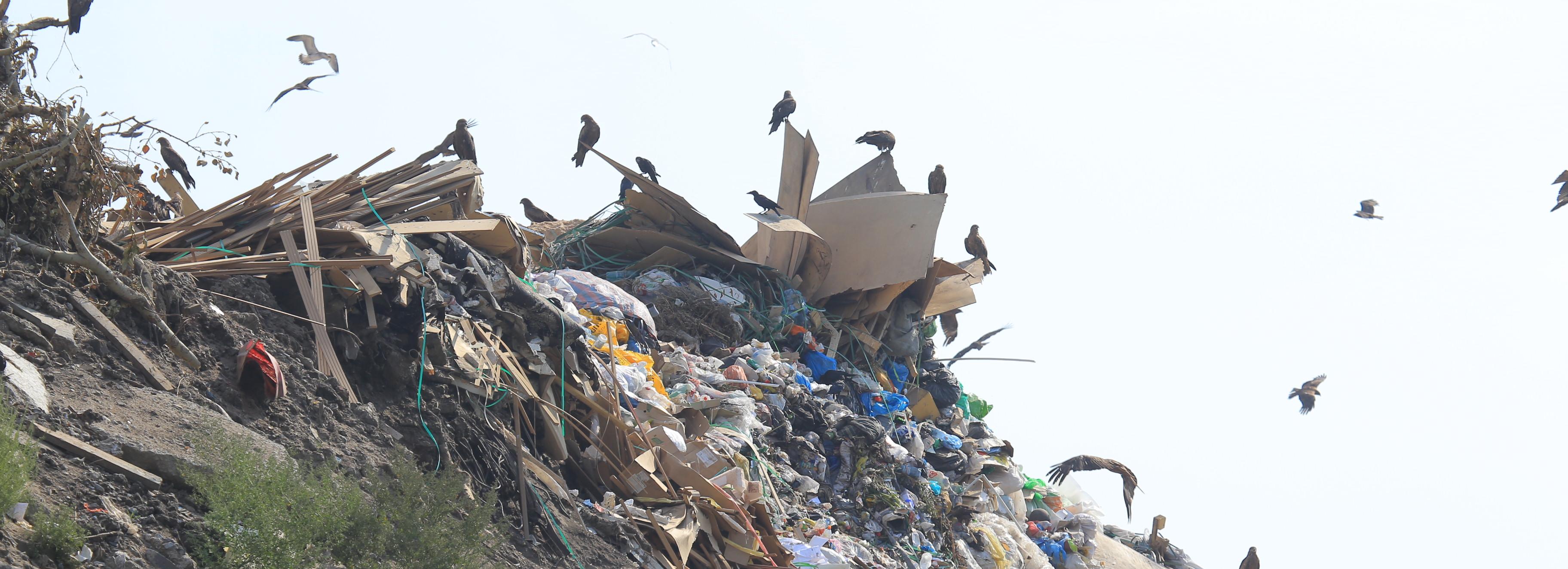 Новосибирская область намерена расторгнуть мусорную концессию