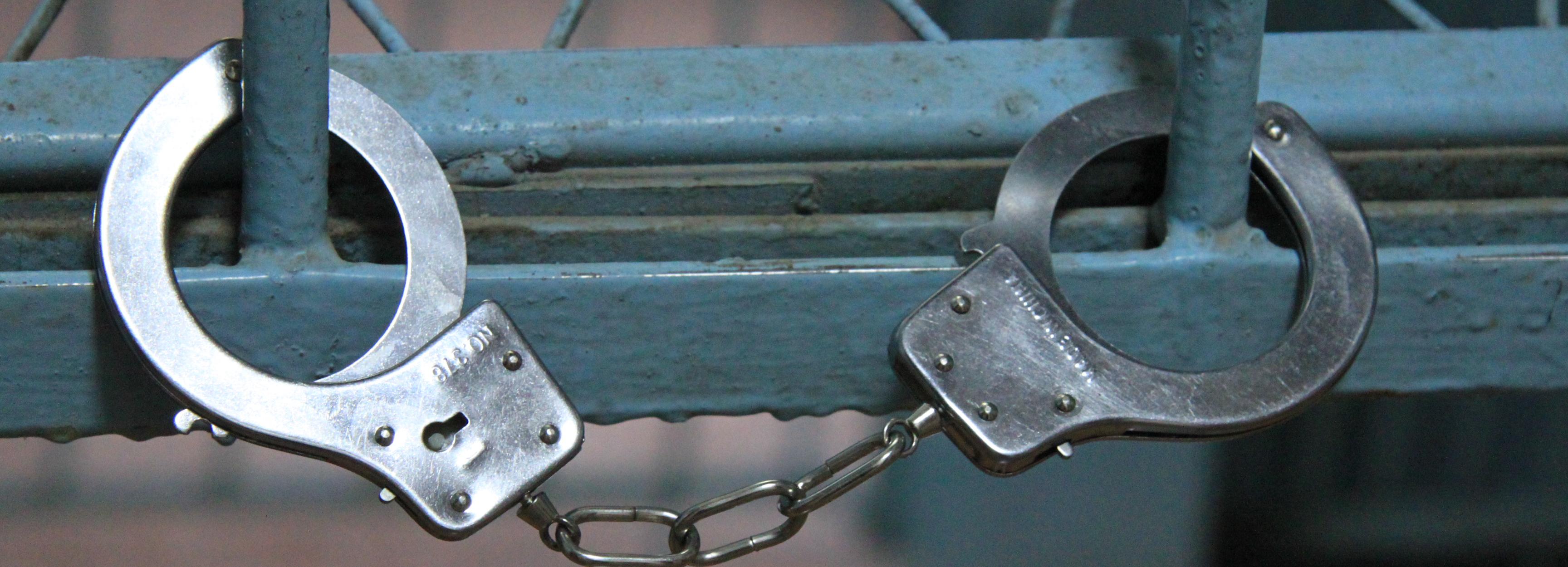 Учёного СО РАН Звегинцева арестовали по подозрению в госизмене