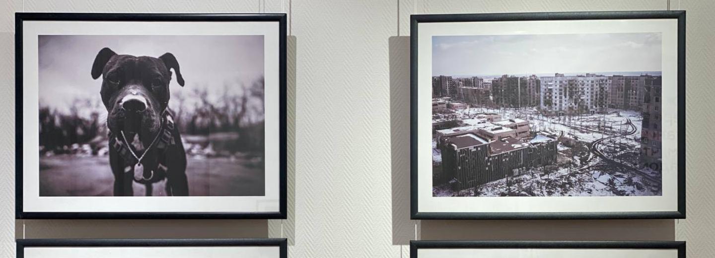 Мэр Кудрявцев посоветовал новосибирцам сходить на выставку об СВО