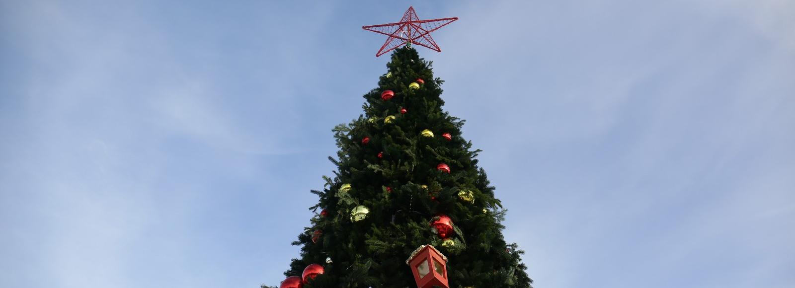 Куда уходит праздник: главную ель Новосибирска отправили на чистку