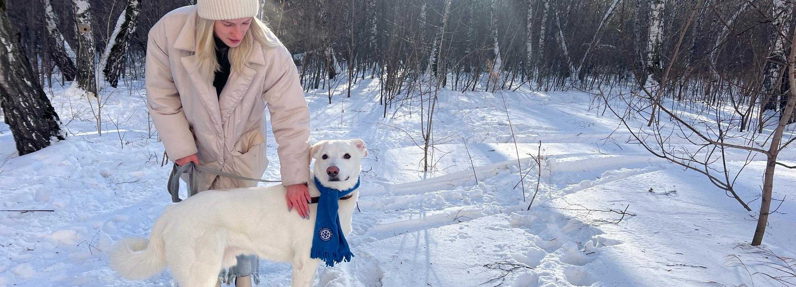 Четвероногому болельщику ХК «Сибирь» ищут постоянный дом