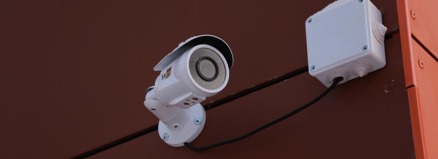 Злоумышленник, сломавший липы на Ядринцевской, попал на видеокамеры