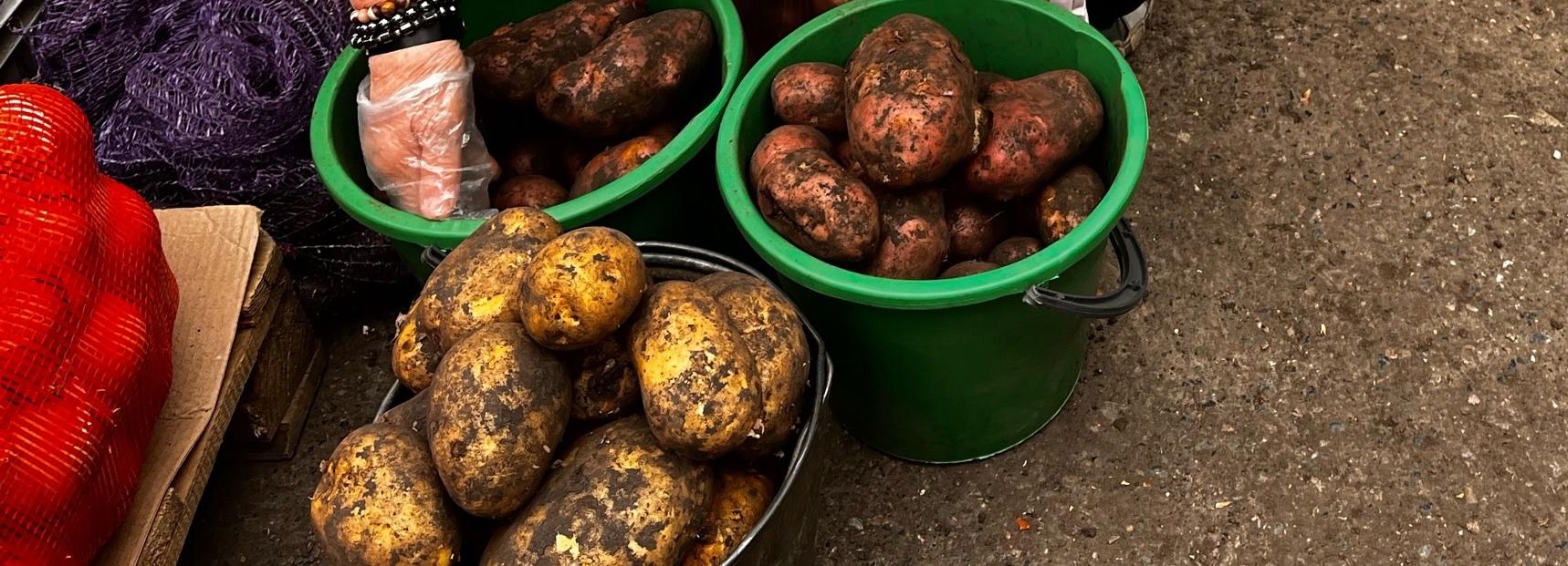 Картошку от дяди Вити изъяли в нелегальной торговой точке в Новосибирске