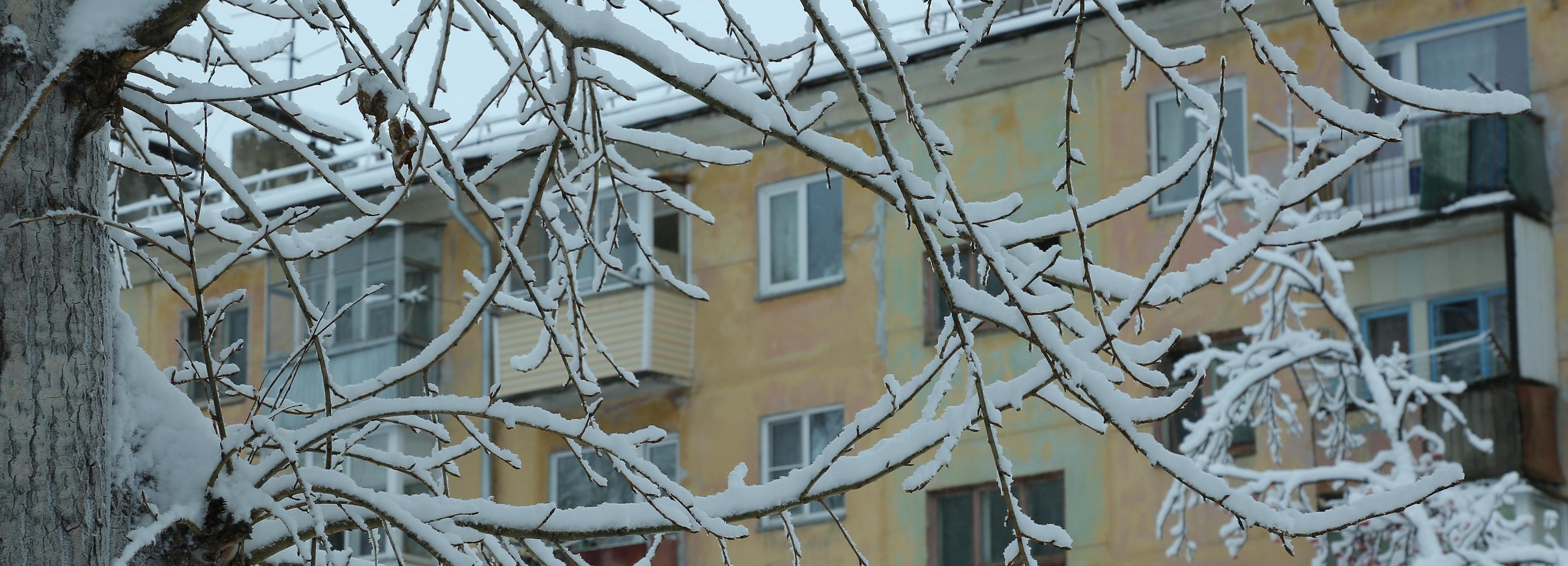 Синоптики пугают новосибирцев снегом на следующей неделе