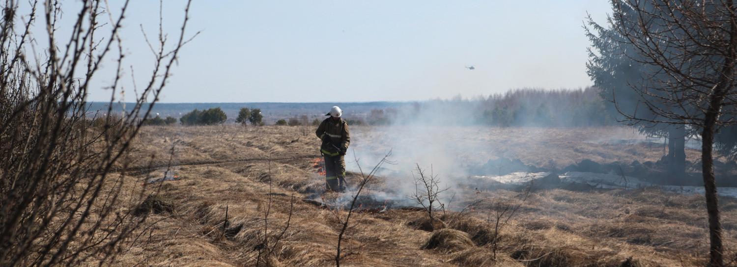 Особый противопожарный режим отменили в Новосибирске