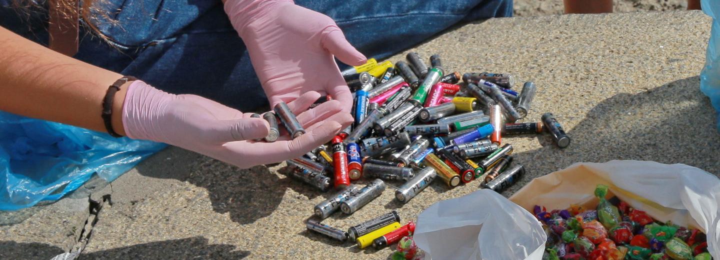 Всероссийский экологический диктант проведут 26 ноября в НГУЭУ