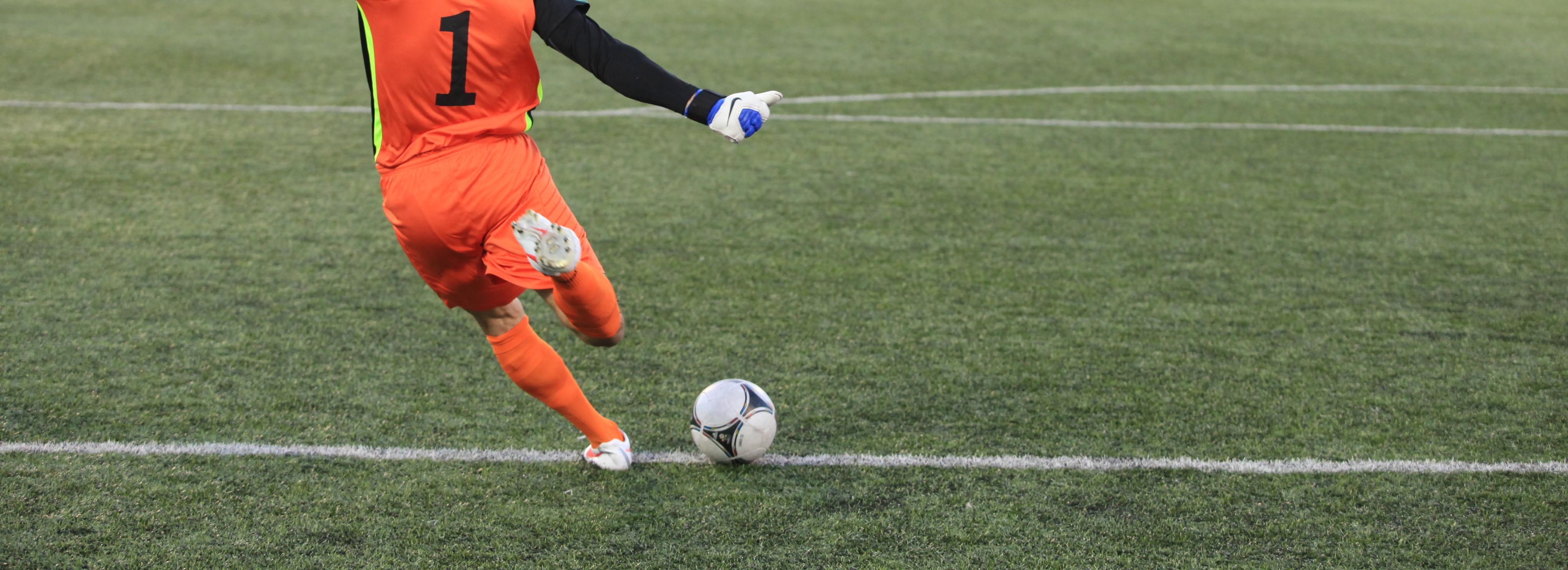 РФС одобрил искусственную траву на стадионе «Спартак» в Новосибирске