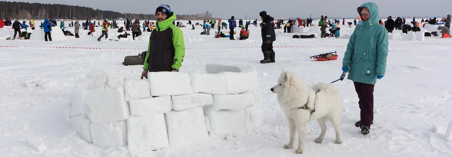 Строить иглу и делать селфи с северными оленями зовут новосибирцев