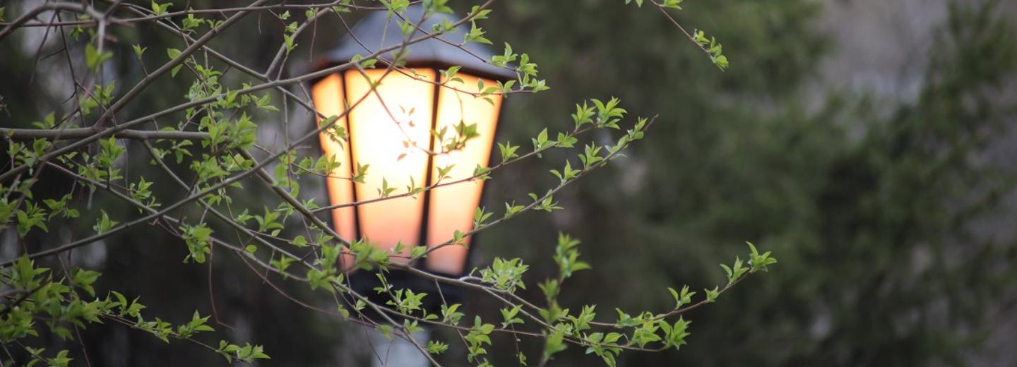 Под землю уберут провода освещения на пяти улицах Академгородка