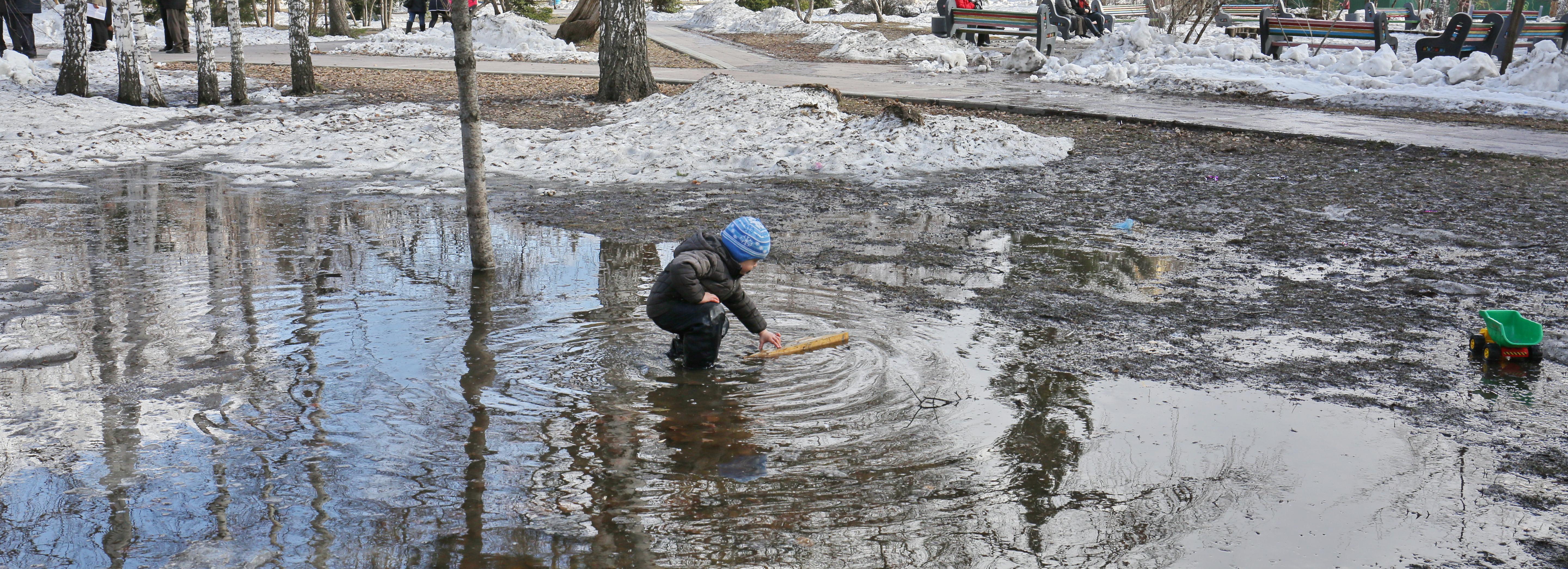 Похолодание проскользит по Новосибирску в середине недели