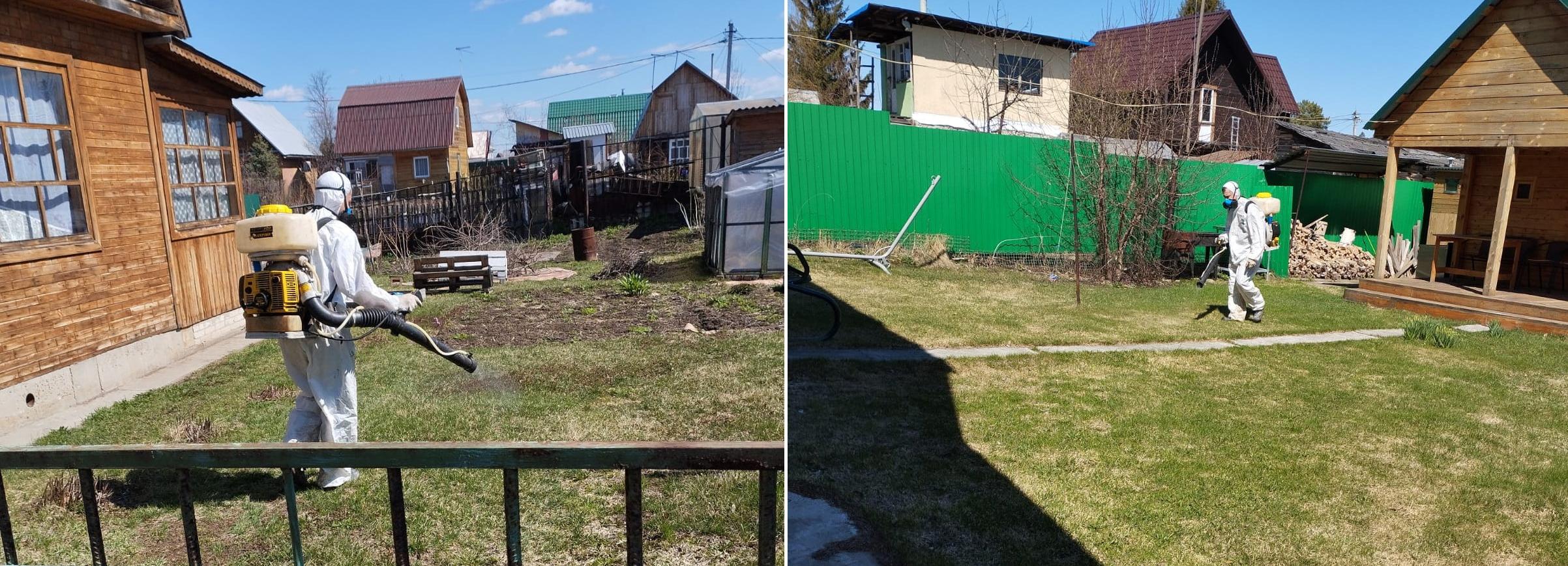 150 рублей за сотку: дачники скидываются на обработку СНТ от клещей