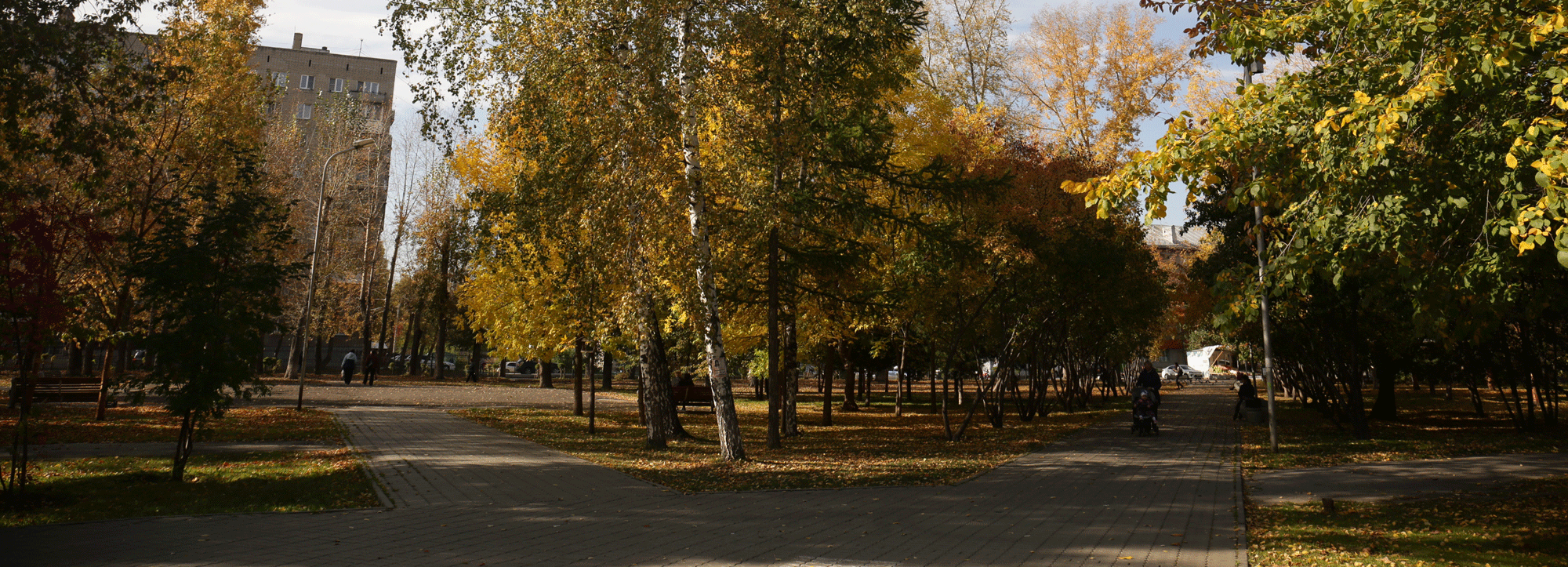 Дизайн-проект сквера имени Калинина обсудят с новосибирцами