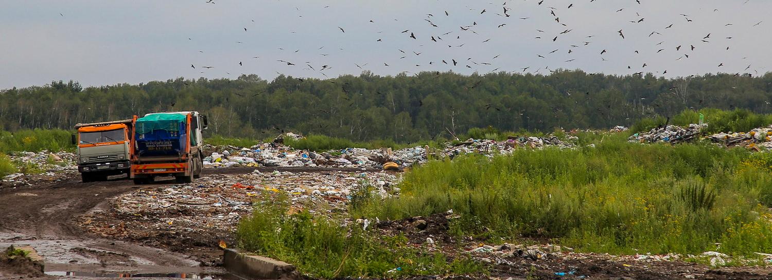 Власти назвали условия закрытия Левобережной и Гусинобродской свалок