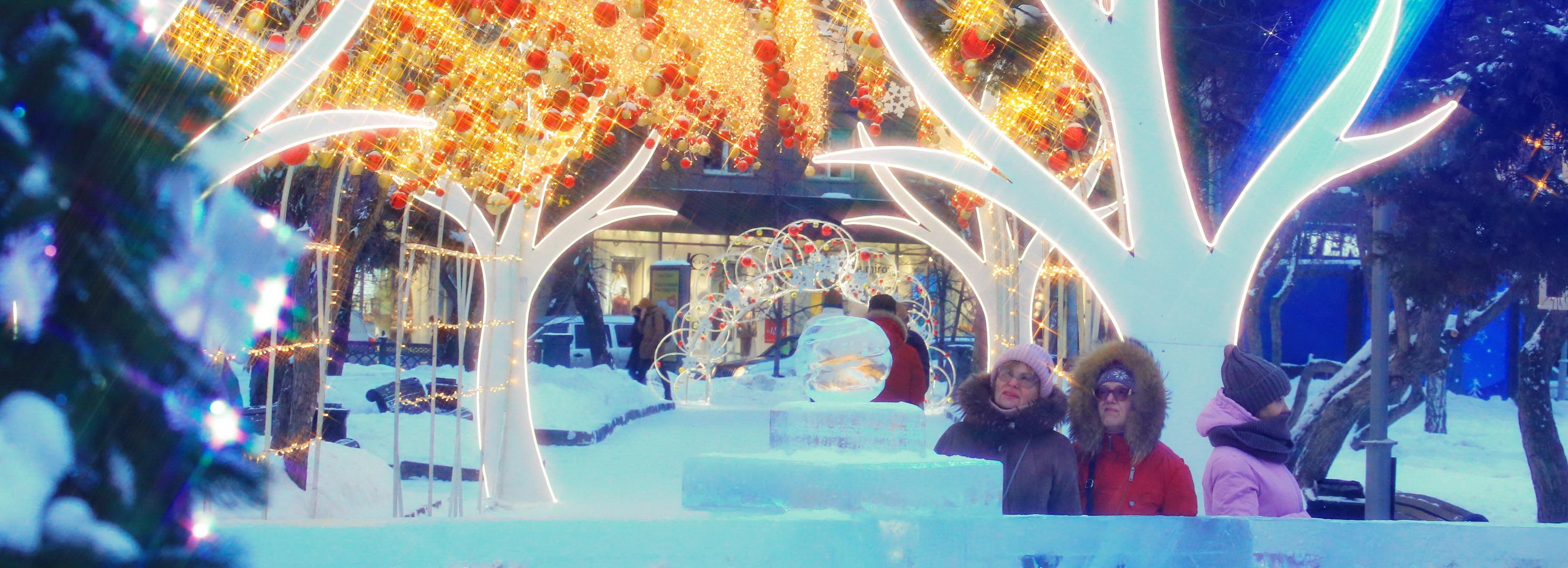 Талисман новогодней столицы России выберут новосибирцы