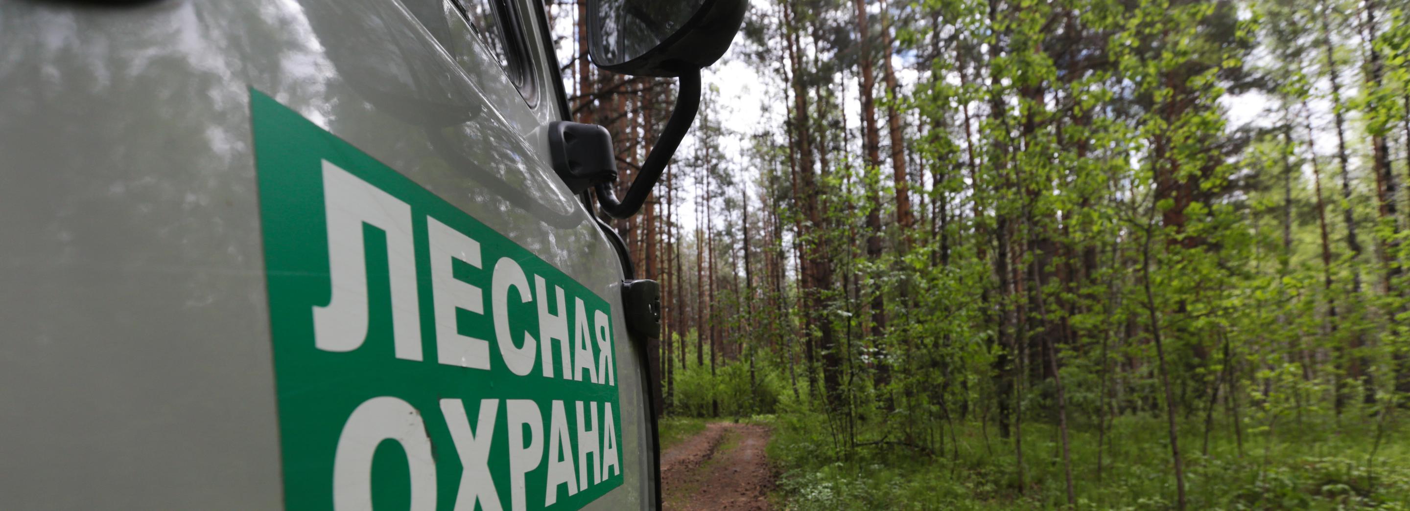 Спецпатрули будут следить за отдыхающими в лесу новосибирцами