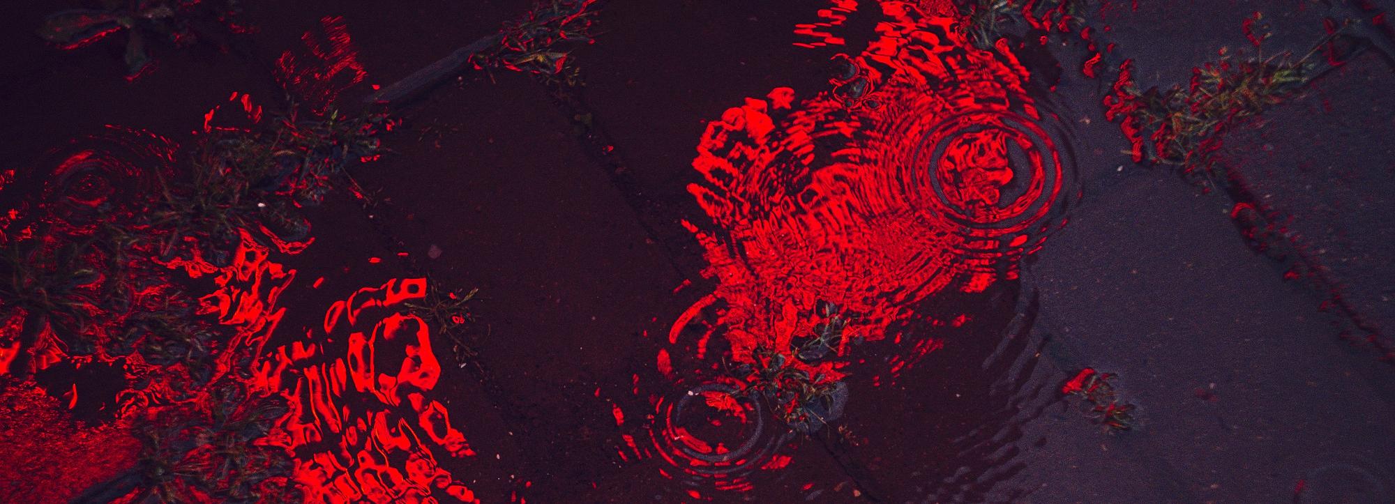 Зловонные реки крови перестали течь из канализации в Черепаново