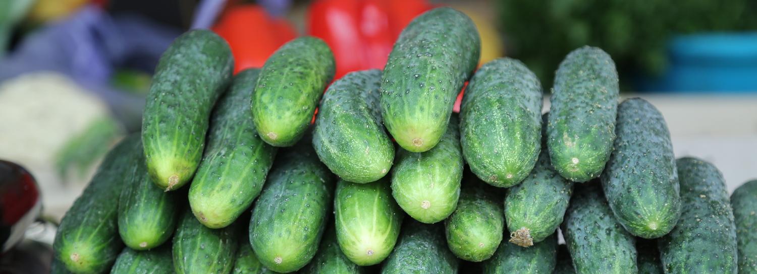 Продуктовая корзина новосибирца подорожала на 317 рублей за полгода